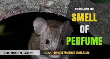 Perfumes and Rats: A Stinky Situation