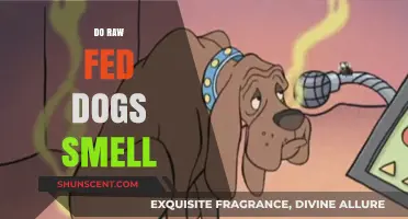 Unveiling the Truth: Do Raw Fed Dogs Really Smell?