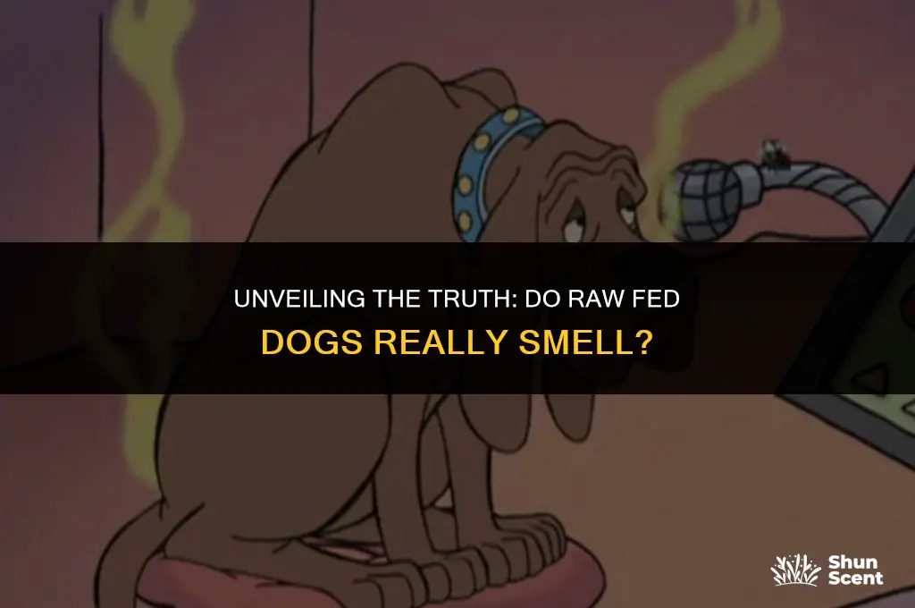 do raw fed dogs smell