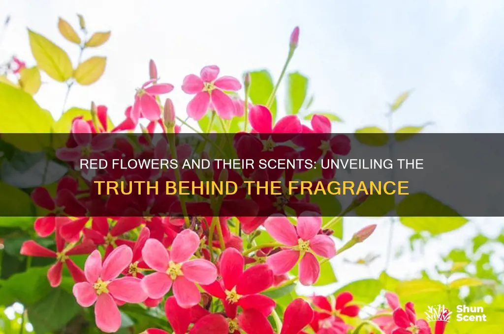 do red flowers have strong scent