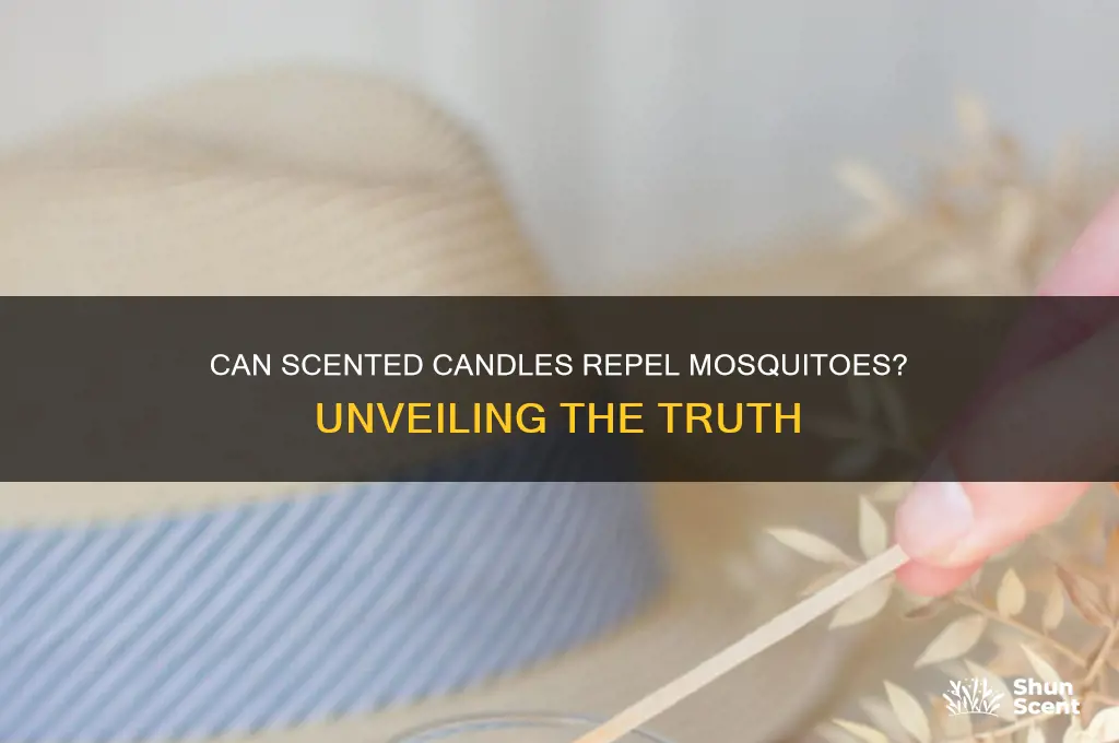 do regular scented candles scare mosquitoes