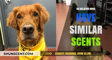 Do Related Dogs Share Similar Scents? Exploring Canine Genetics and Olfactory Traits