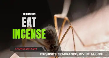 Roaches and Incense: A Pest's Appetite for Fragrance