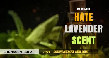 Lavender's Power: Can Its Scent Repel Roaches Effectively?