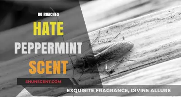 Does Peppermint Repel Roaches? Uncovering the Truth About This Scent