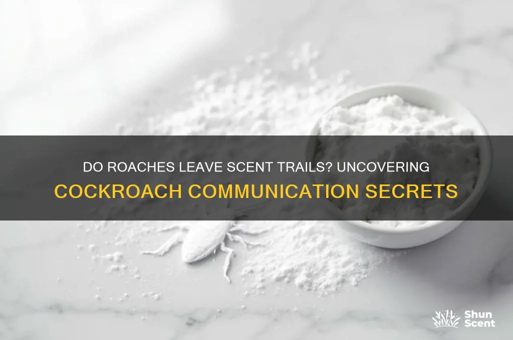 do roaches leave scent trails