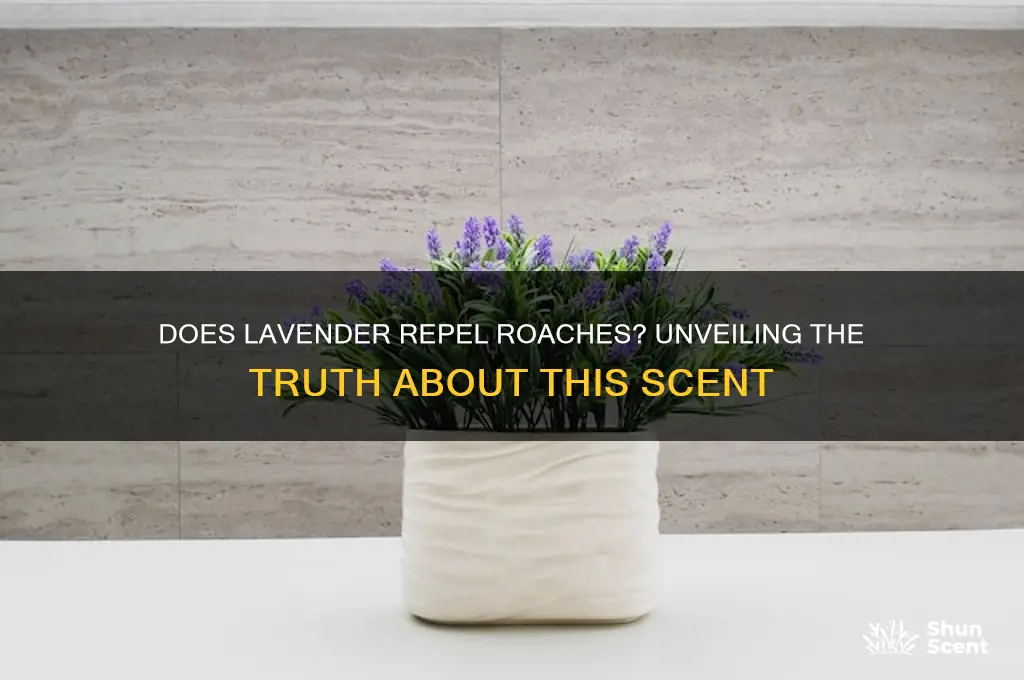 do roaches like lavender scent