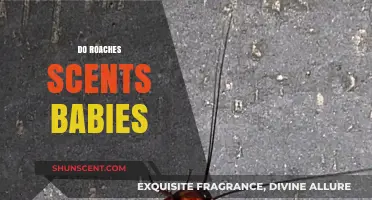 Do Roach Scents Affect Babies? Understanding Risks and Safe Solutions