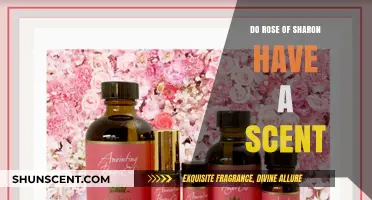Do Rose of Sharon Flowers Have a Scent? Unveiling the Truth