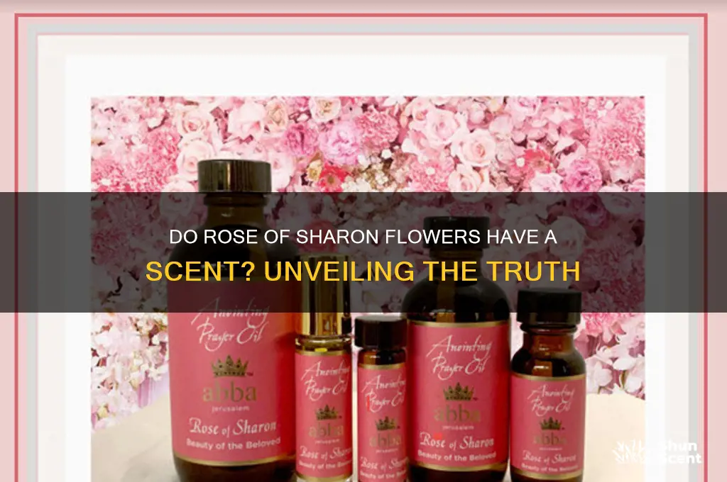 do rose of sharon have a scent