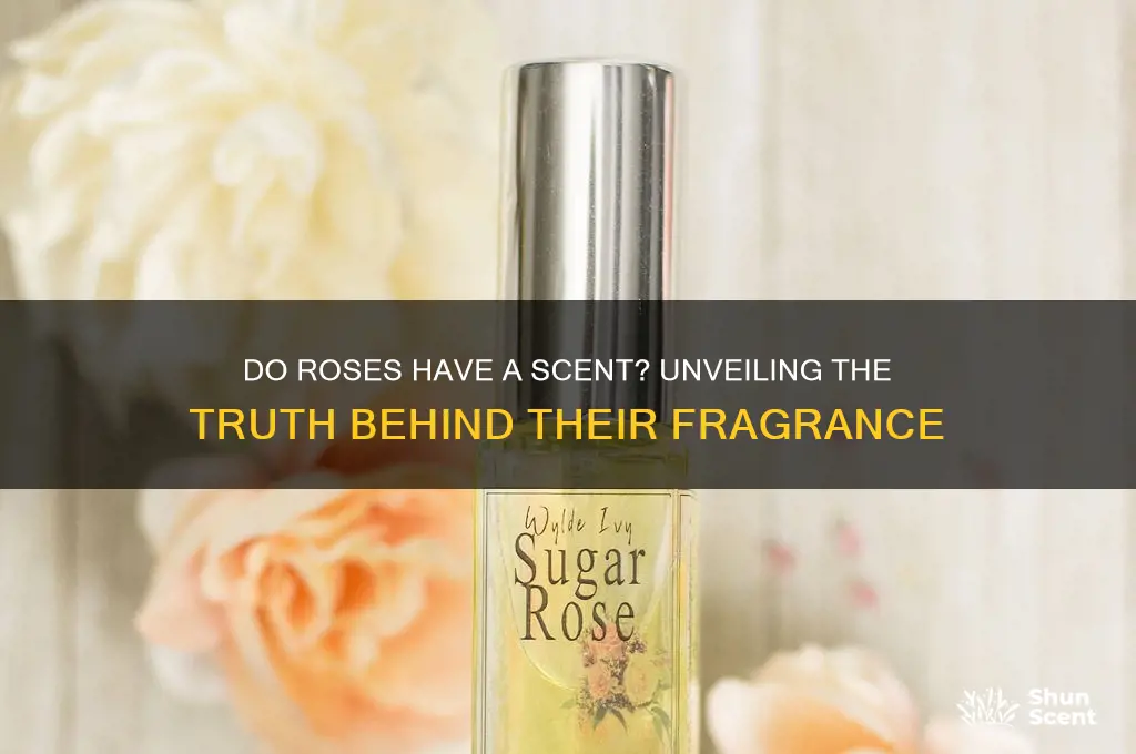 do roses have a scent