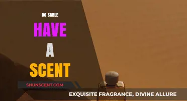 Unveiling the Mystery: Do Sable Possess a Distinct Scent?