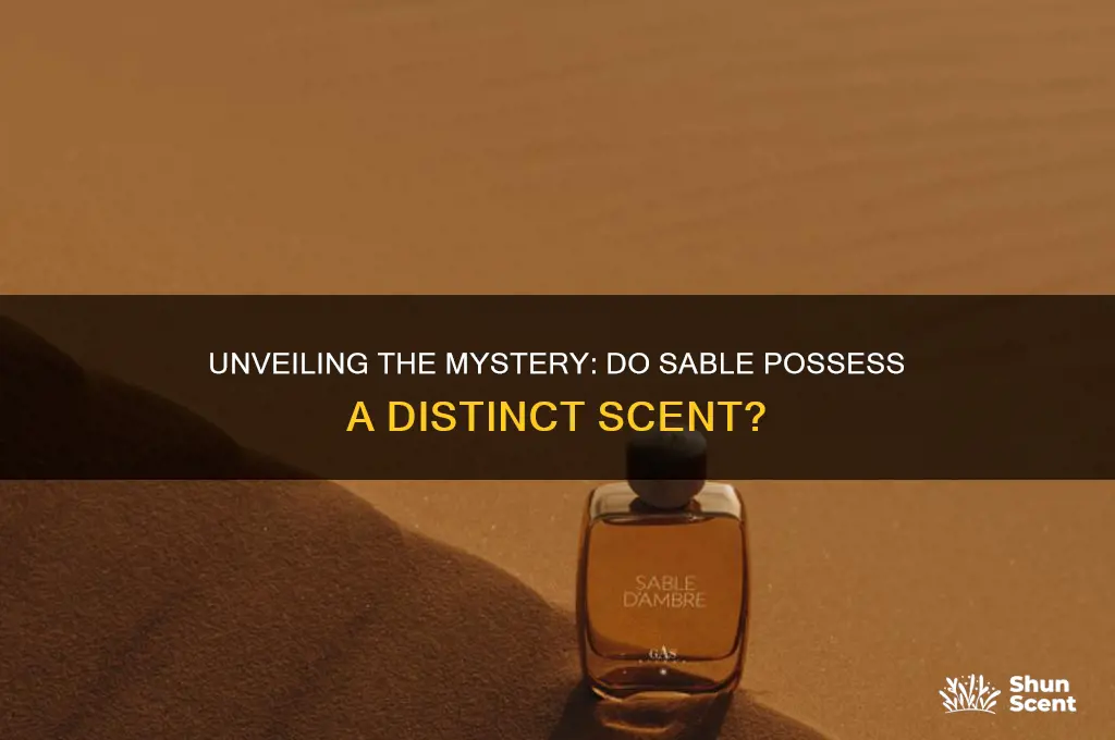 do sable have a scent