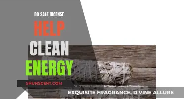 Sage Incense: Clearing Negative Energy, Welcoming Positivity