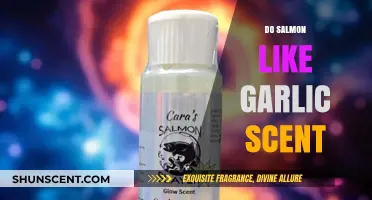 Do Salmon Like Garlic Scent? Unraveling the Aquatic Aromatic Mystery