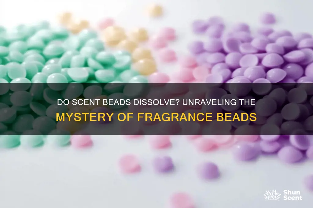 do scent beads dissolve