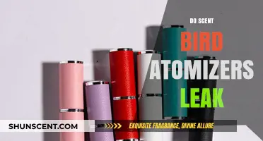 Do Scentbird Atomizers Leak? A Comprehensive Review and Guide