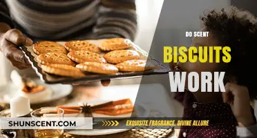 Do Scent Biscuits Work? Uncovering the Truth Behind the Trend