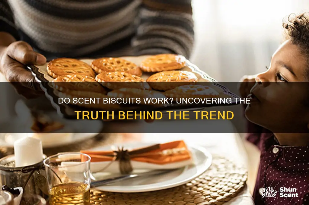 do scent biscuits work