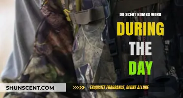 Do Scent Bombs Work During the Day? Unveiling the Truth