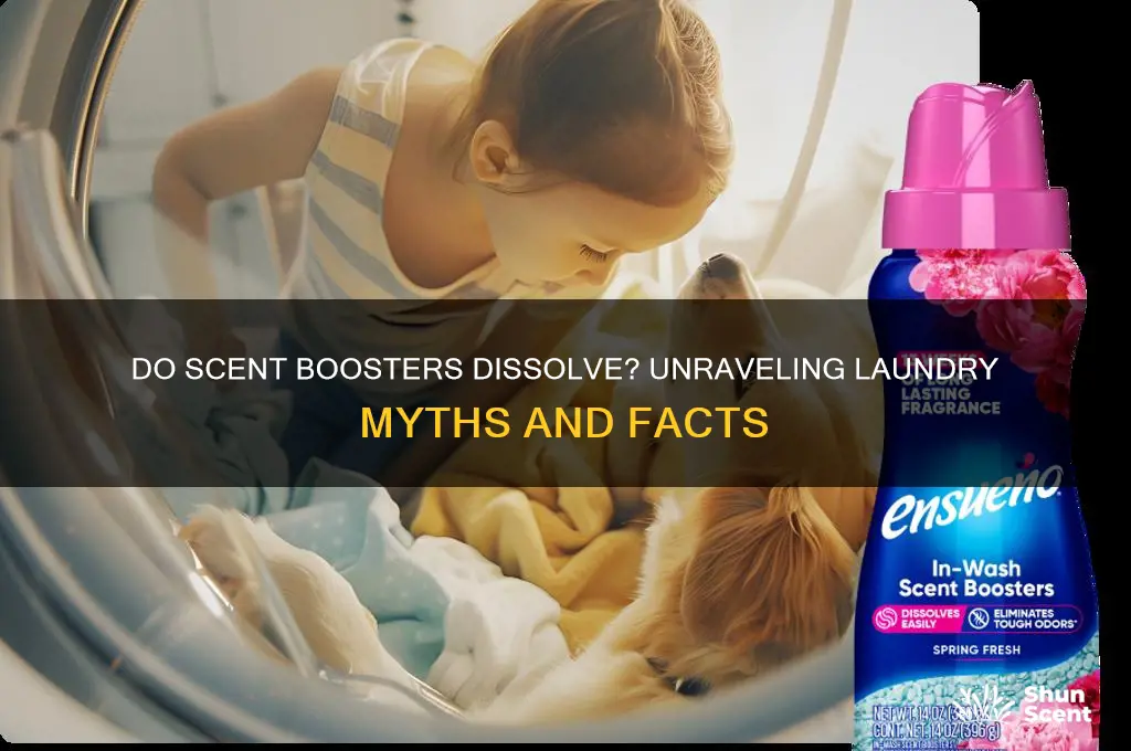 do scent boosters dissolve