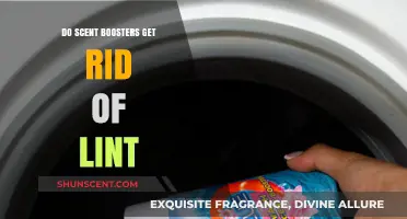 Scent Boosters vs. Lint: Do They Really Eliminate Fuzz?