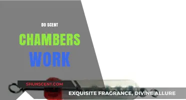Do Scent Chambers Work? Unveiling the Truth Behind Aromatherapy Tools