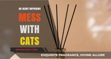 Scent Diffusers and Cats: Are They a Harmful Combination?