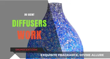 Do Scent Diffusers Work? Unveiling the Truth Behind Aromatherapy