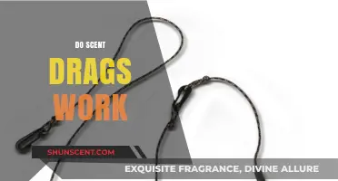 Do Scent Drags Work? Unveiling the Truth Behind This Hunting Technique