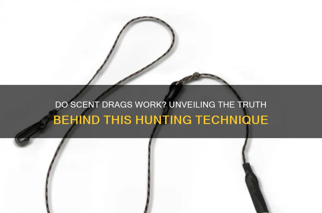 do scent drags work