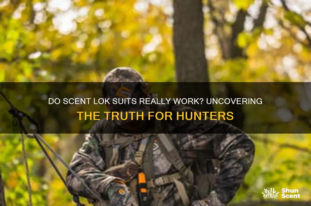 do scent lok suits work