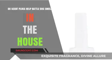 Scent Plugs vs. Dog Odor: Effective Solution or Just a Myth?