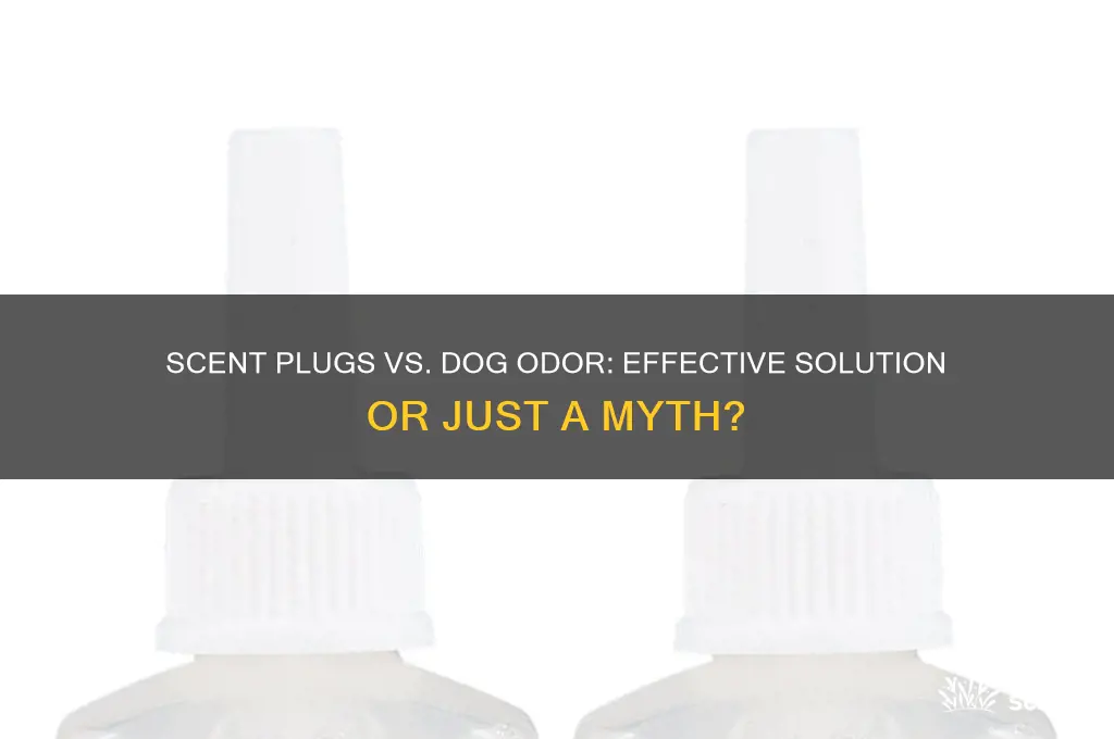 do scent plugs help battle dog smell in the house