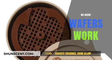 Do Scent Wafers Work? Unveiling the Truth Behind Their Effectiveness