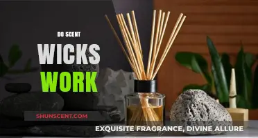 Do Scent Wicks Work? Unveiling the Truth Behind Aromatic Diffusion