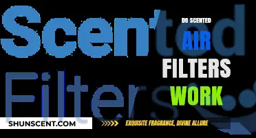Do Scented Air Filters Work? Uncovering the Truth and Benefits