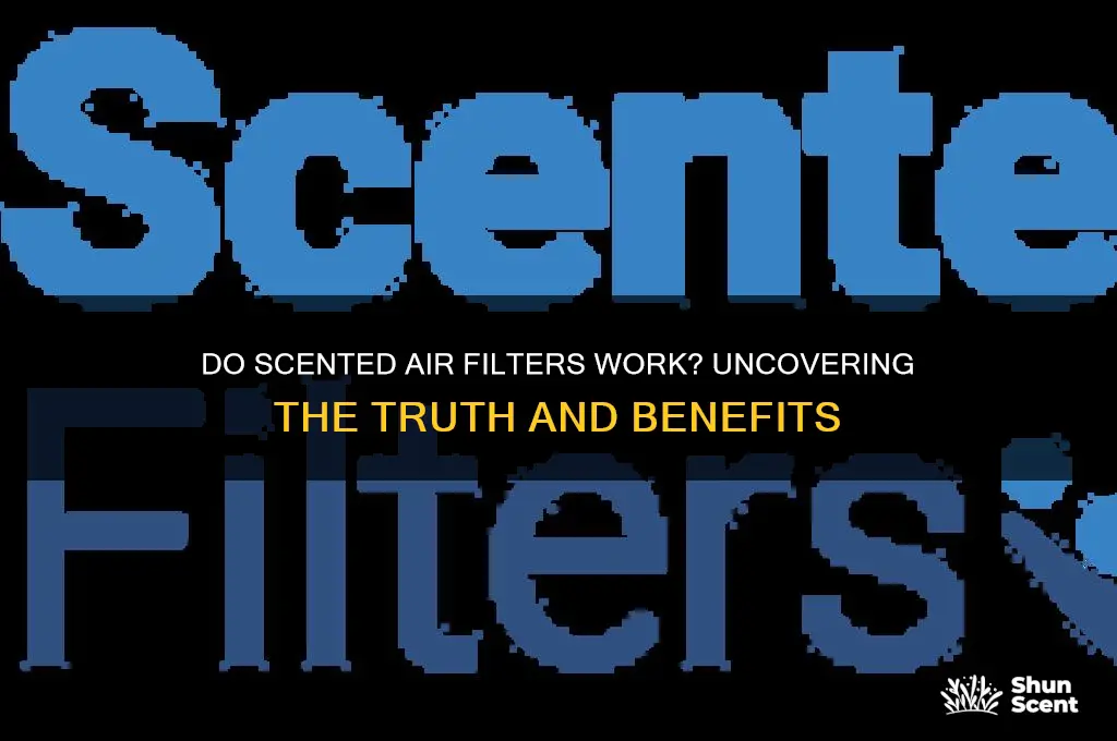 do scented air filters work