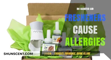Scented Air Fresheners and Allergies: Uncovering the Hidden Triggers