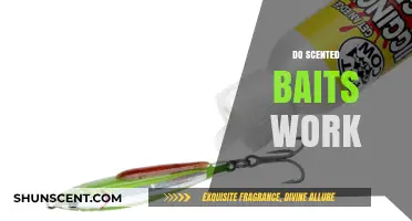 Do Scented Baits Work? Uncovering the Truth for Anglers
