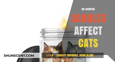 Scented Candles and Cats: Potential Risks and Safe Alternatives