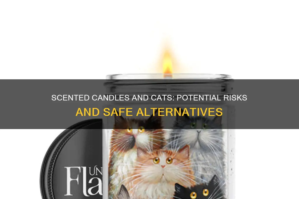 do scented candles affect cats