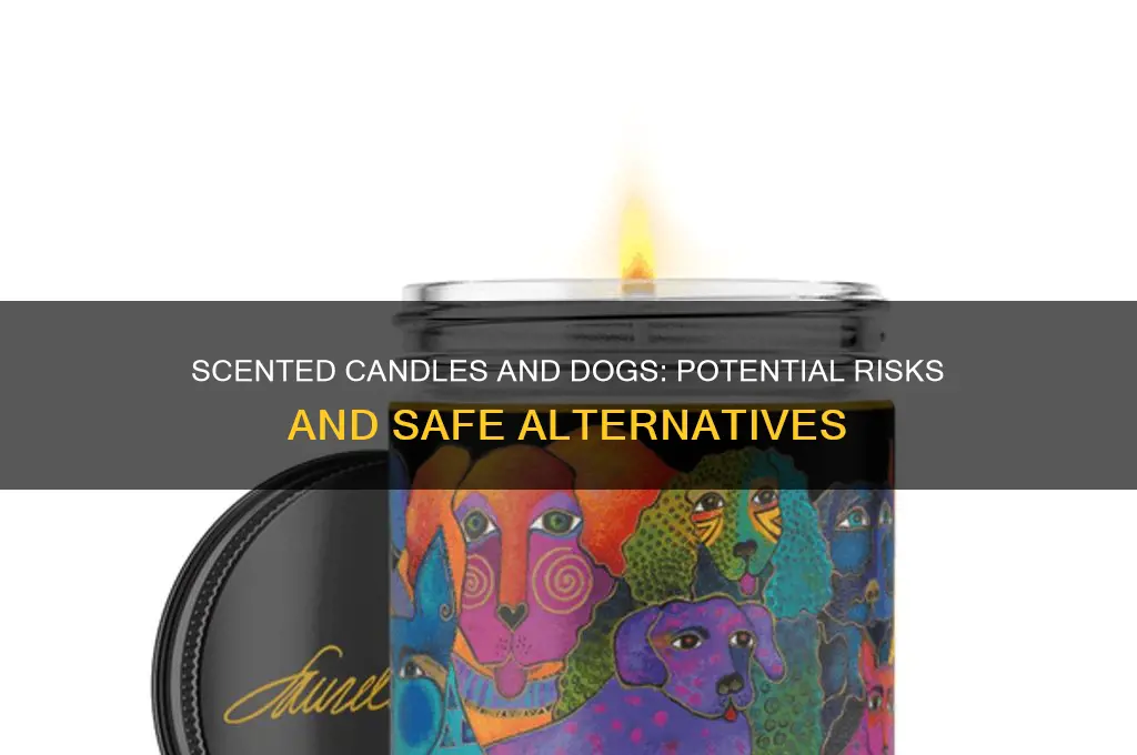 do scented candles affect dogs