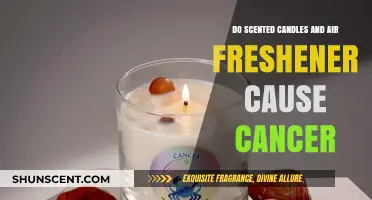 Scented Candles and Air Fresheners: Uncovering Cancer Risks and Facts