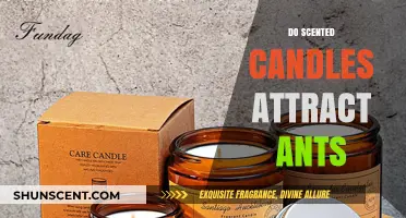 Do Scented Candles Attract Ants? Uncovering the Truth Behind the Myth