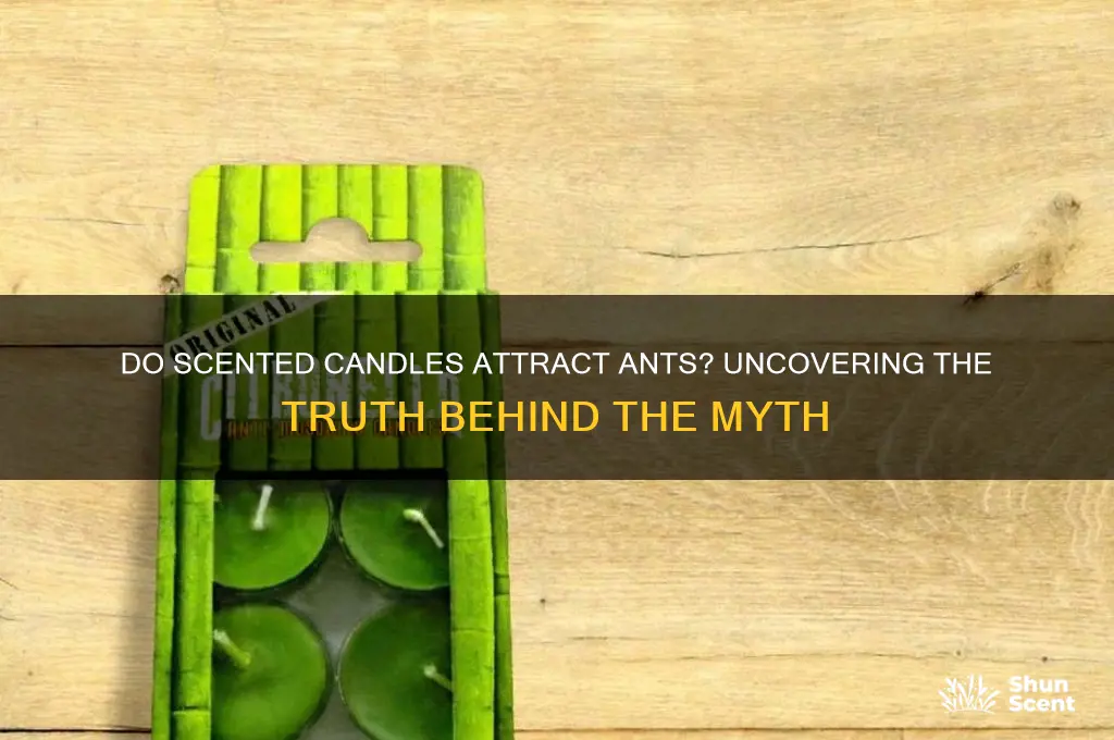 do scented candles attract ants