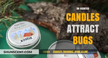 Do Scented Candles Attract Bugs? Unveiling the Truth Behind the Myth