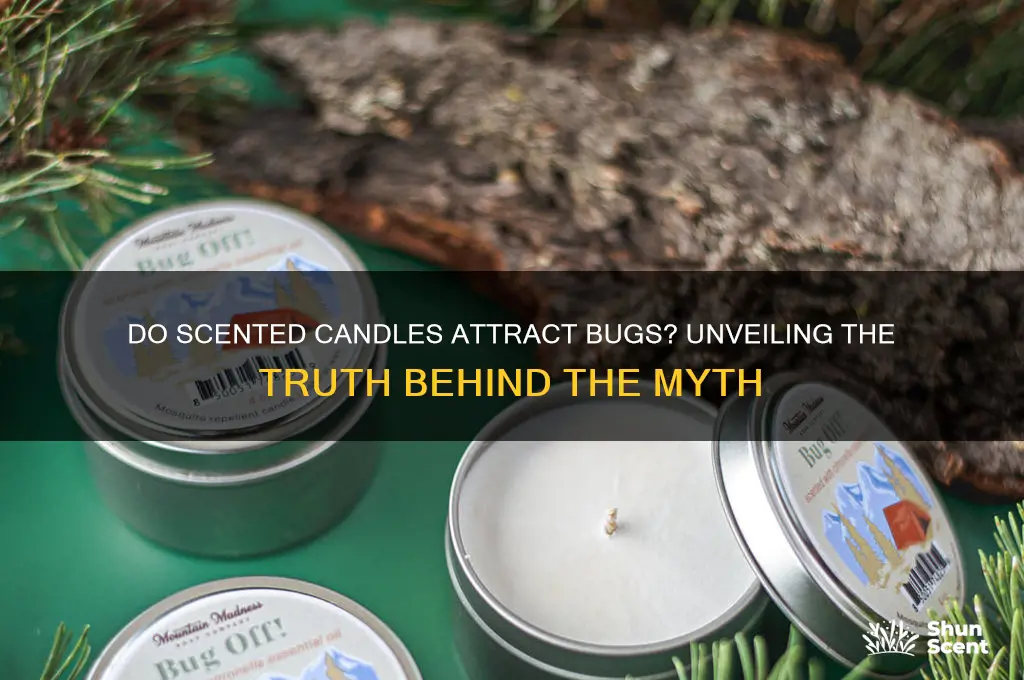 do scented candles attract bugs