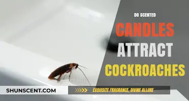 Scented Candles and Cockroaches: Unveiling the Unexpected Connection
