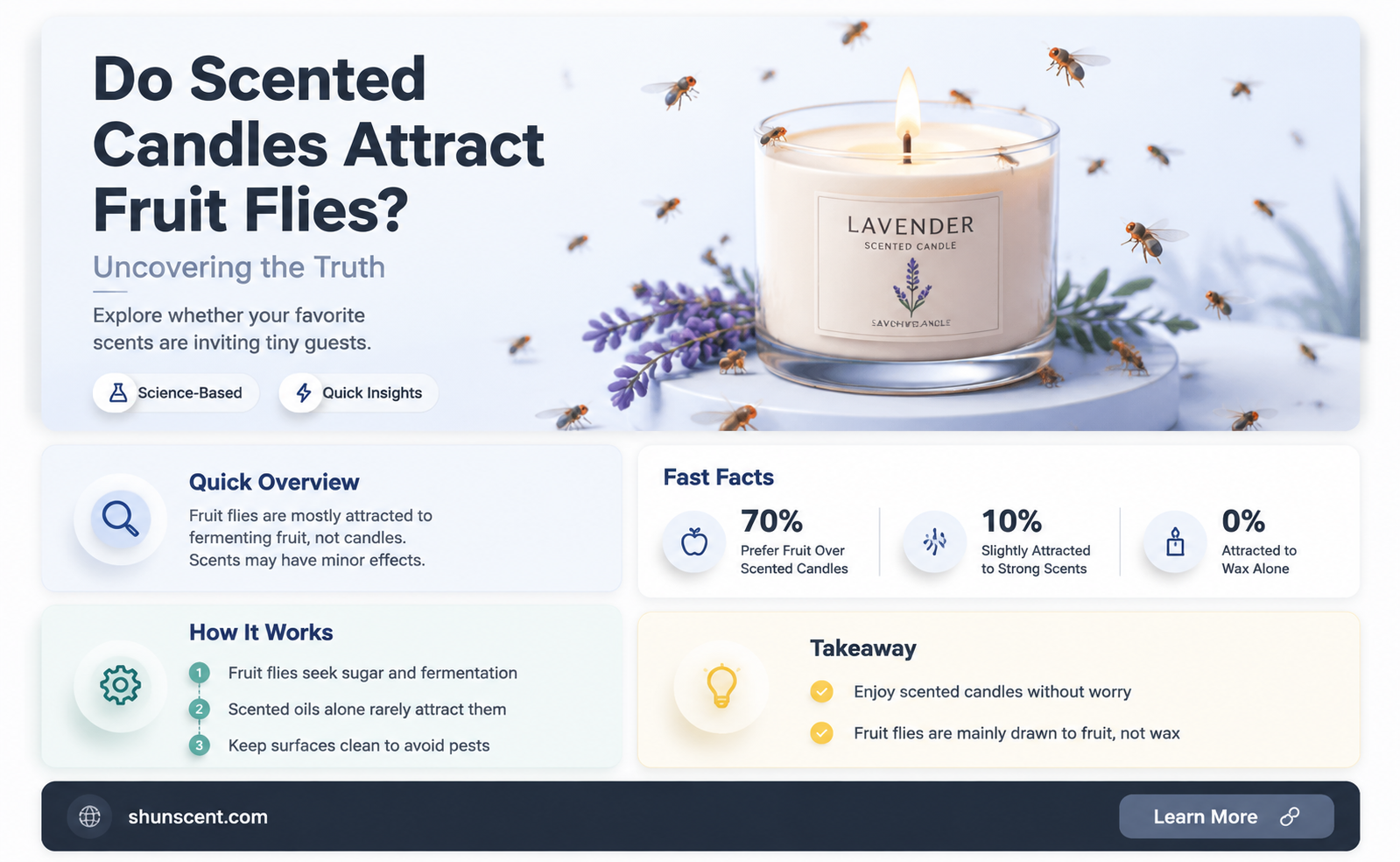 are fruit flies attracted to scented candles